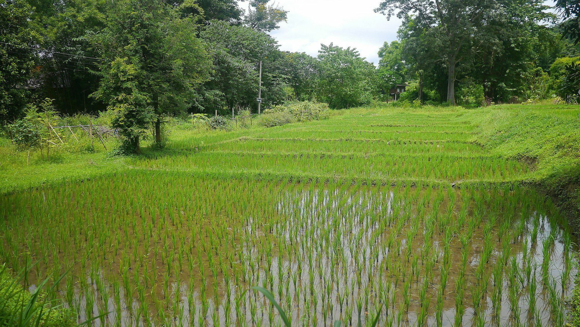 Pho Rak Nah Pai Hotel Luaran gambar